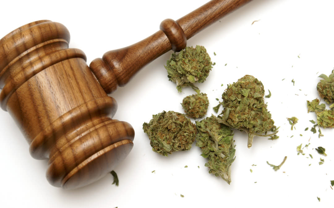 Colorado Supreme Court Makes Critical Marijuana Decision