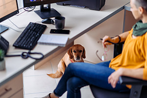 Dog Bites and Employer Liability